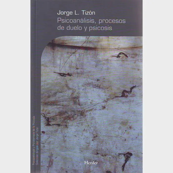 Portada de PSICOANALISIS, PROCESOS DE DUELO Y PSICO (ISBN 9788425425356)