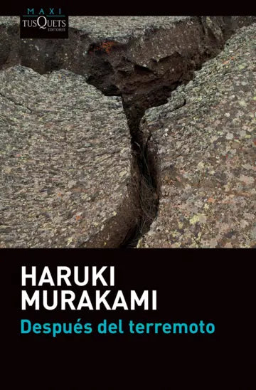 Portada de Después del terremoto (ISBN 9786074216530)