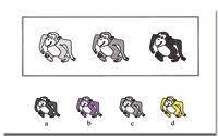 TIDA. TEST DE IDENTIFICACIÓN DE DALTONISMOS